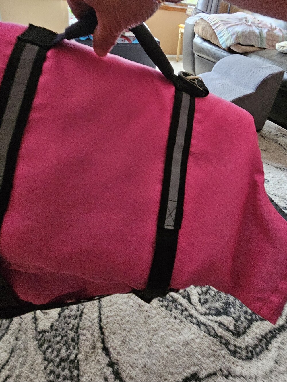Dog Life Jacket AmzNova Pet Safety & Comfort In Water Large